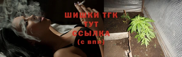 прущий лед Вязьма