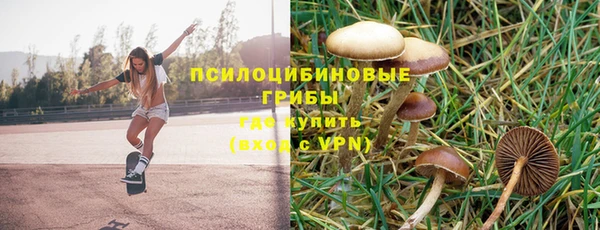 Альфа ПВП Вяземский