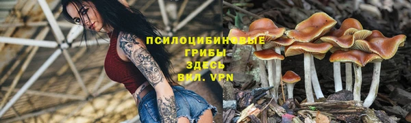 таблы Горно-Алтайск